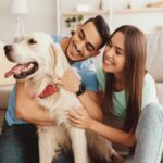 犬を『人間扱い』するのが危険なワケ3選　起こり得るリスクや正しい接し方まで解説(ブログ)