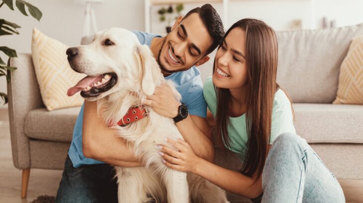 犬を『人間扱い』するのが危険なワケ3選　起こり得るリスクや正しい接し方まで解説(ブログ)