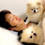 どうしても『パパの腕枕』で眠りたい犬たち→想像以上の『大喧嘩』に発展する光景が30万再生「大爆笑ｗｗ」「愛されてる」「パパモテモテ」(ブログ)