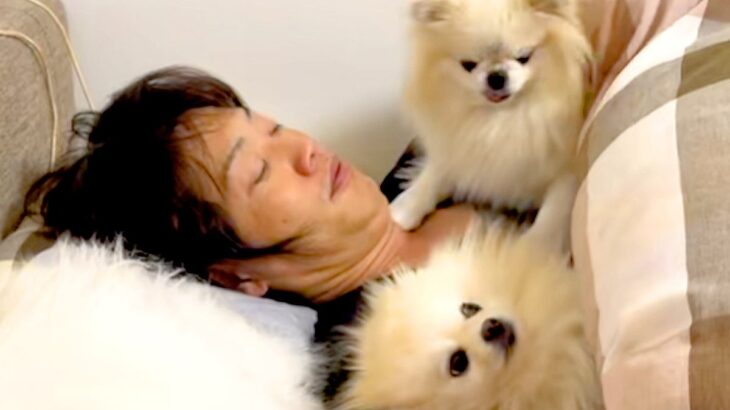 どうしても『パパの腕枕』で眠りたい犬たち→想像以上の『大喧嘩』に発展する光景が30万再生「大爆笑ｗｗ」「愛されてる」「パパモテモテ」(ブログ)