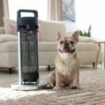 犬を留守番させるときにやってはいけない『防寒対策』3つ　安全に過ごすためにすべきことまで(ブログ)