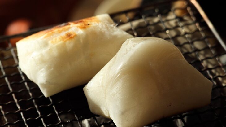 犬に『おもち』を与えても大丈夫？デメリットや誤食した場合の危険な症状まで(ブログ)