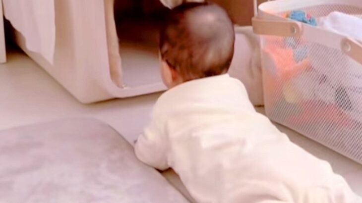 赤ちゃんがハイハイで『大型犬のクレートに近付いた』結果→戸惑ってしまい…困り果てる光景が可愛いと反響「配慮が素晴らしい」「視線たまらん」(ブログ)