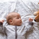 犬は『人間の赤ちゃん』のことをどう思っている？可愛いという感情はあるの？会わせる場合の注意点まで(ブログ)