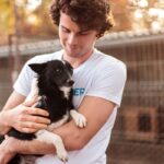 犬の『里親』になる方法3つ　家族になるための条件や迎える前に絶対知っておくべきことまで(ブログ)