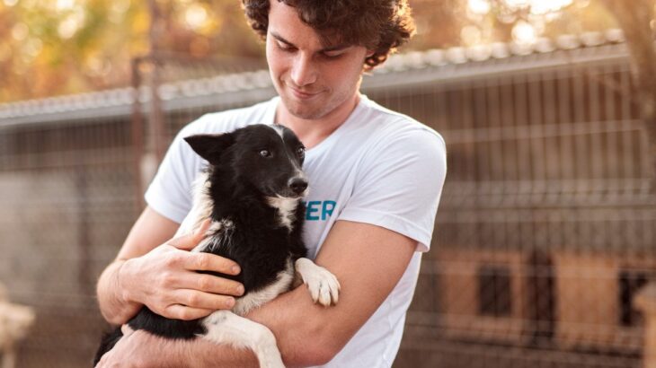 犬の『里親』になる方法3つ　家族になるための条件や迎える前に絶対知っておくべきことまで(ブログ)