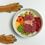 犬に『人間の食べ物を与えてはいけない』理由５選　食べてしまったときの健康被害や危険な症状まで(ブログ)