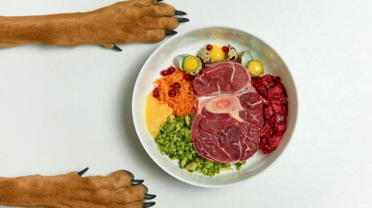犬に『人間の食べ物を与えてはいけない』理由５選　食べてしまったときの健康被害や危険な症状まで(ブログ)