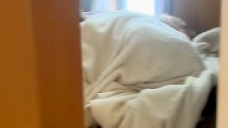 朝、大型犬と男の子があまりにも静かなので探してみた結果→想定外だった『まさかの状況』が78万再生「怒れないｗｗ」「幸せすぎる…」(ブログ)