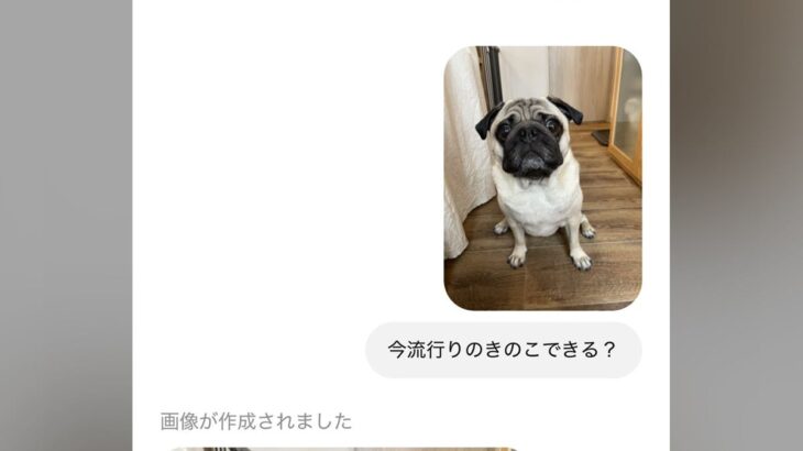 ChatGPTに『今流行りのきのこできる？』と犬の写真を送った結果→完全に想定外だった結末が250万表示「うちも酷いことにｗ」共感の声も(ブログ)