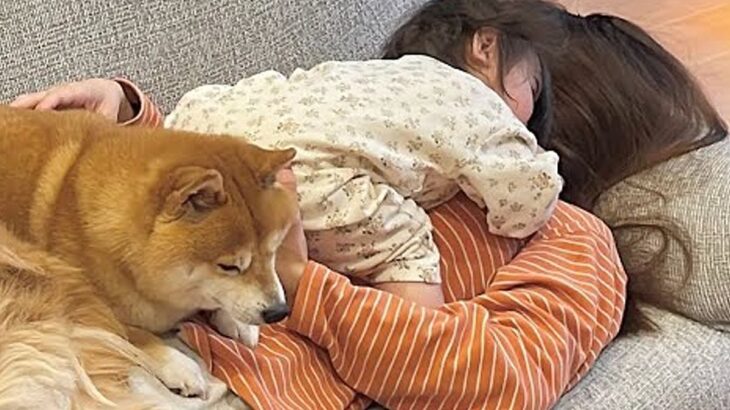 お出かけで疲れ果てた1歳の女の子と犬2匹→ママの上に乗っかって…尊すぎる『疲れの癒し方』が26万再生「幸せの重さ全開」「たまらん…」(ブログ)