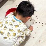 犬のごはんを落としてしまった男の子→必死に拾う後ろで、犬がこっそり…あまりにも尊い『ふたりの様子』が話題「優しすぎて泣ける」と33万再生(ブログ)