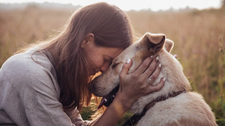 飼い主が忘れてはいけない犬への『大切な気持ち』8つ　日々の暮らしに慣れすぎてしまうと起こることとは？(ブログ)