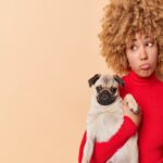 犬が『抱っこを嫌がる』理由3つ　飼い主が意外とやりがちな注意すべき抱き方とは？(ブログ)