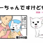 ちーちゃんですけどもっ【第340話】「相当嫌だったらしい」(ブログ)