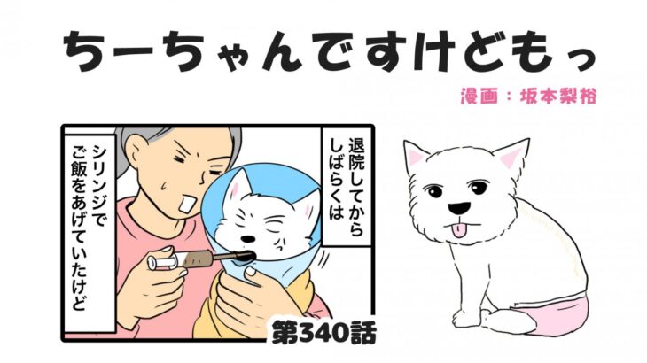 ちーちゃんですけどもっ【第340話】「相当嫌だったらしい」(ブログ)