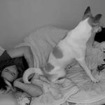 夜、飼い主と一緒に寝る元保護犬→突然起き上がり…カメラが映した『まさかの行動』が泣けると3万いいね「可愛すぎて涙が出た」「私も混ぜて」(ブログ)