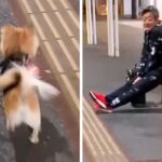 単身赴任していたパパが『突然現れた』結果→お散歩中の愛犬が気付き…尊すぎる『26日ぶりの再会の瞬間』に1万いいね「泣ける」「狂喜乱舞ｗ」(ブログ)