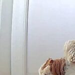 お留守番をする犬→『寂しがっていないかな』と心配でカメラを見た結果…思っていたのと違う光景に反響「行き倒れかな…ｗ」と爆笑の声(ブログ)