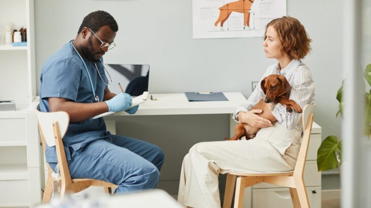 犬も『うつ病』になるの？絶対見逃したくない初期症状や病院に連れて行くべきサインまで(ブログ)