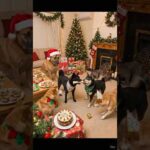 これ凄くないですか？(YouTube)