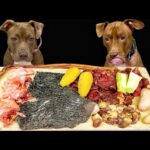 耳が喜ぶASMR!!ピットブルの咀嚼音が最高すぎる!!(YouTube)