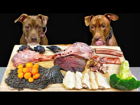 ずっと見ていられる!!ボリボリ食べるピットブルの咀嚼音がクセになる(YouTube)