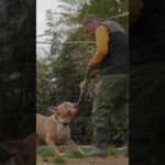 歴代ハプニング(YouTube)