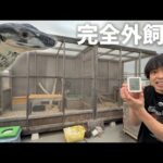 1年中外で暮らすオオトカゲの現在の様子を見に行くと…(YouTube)