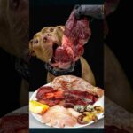 豪快に生肉を食べるピットブル #咀嚼音(YouTube)