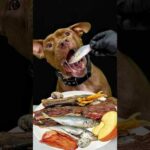 豪快に食べるピットブルの咀嚼音(YouTube)