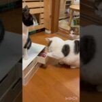 油断させといて(YouTube)