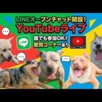 【LINE】オープンチャット開設させて頂きました（使い方説明）16時より配信(YouTube)