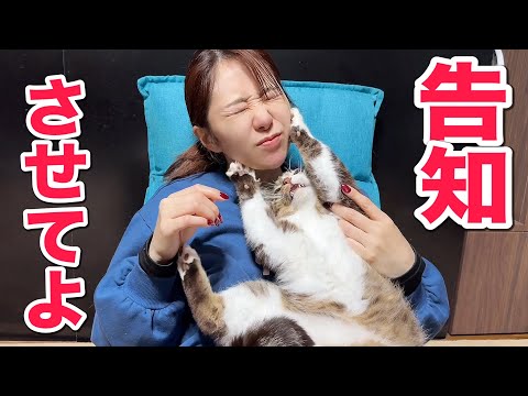 いつもママの隣を独占するあの子【重大告知あり】(YouTube)