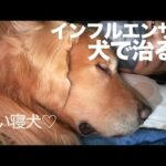 アムロがインフルエンザを治してくれました(YouTube)