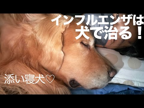 アムロがインフルエンザを治してくれました(YouTube)