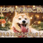 2025年凄く大変な年でした支えてくださりありがとうございました(YouTube)