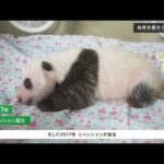 ジャイアントパンダと歩んだ15年（上野動物園）(YouTube)