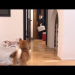 急遽病院へ行ってきました(YouTube)