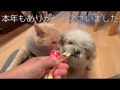 ２０２５年ありがとうございました(YouTube)