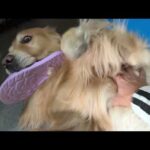 来年のカレンダーができてまいりました(YouTube)