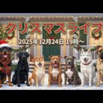 クリスマスライブ12月24日19時スタート(YouTube)