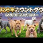 2026年カウントダウンライブ12月31日23時30分配信(YouTube)