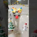 メリークリスマス🎄 #shorts(YouTube)