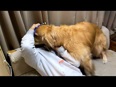 アムロを診察しようとしたら襲われました(YouTube)