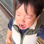 2歳の男の子が『トリミングに行った愛犬ともう会えない』と大号泣してしまい…尊い家族愛と『再会の瞬間』が62万再生「立派な愛犬家」の声も(ブログ)