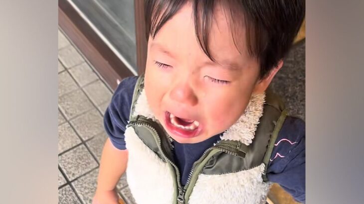 2歳の男の子が『トリミングに行った愛犬ともう会えない』と大号泣してしまい…尊い家族愛と『再会の瞬間』が62万再生「立派な愛犬家」の声も(ブログ)
