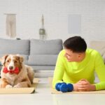 犬と一緒に楽しめる『室内遊び』とは？愛犬を満足させる方法や安全に遊ぶためのポイントまで(ブログ)