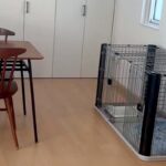 妻が犬を連れて動物病院へ→ふと家の中を確認してみた結果…衝撃的な『わすれもの』が15万再生「笑ったｗｗ」「キョトンとしてて草」と爆笑の声(ブログ)