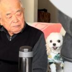おじいちゃんが大好きな犬→隣に座ってみた結果…まさかの『嫉妬しまくる光景』が可愛すぎると63万再生「取り合ってるの笑う」「羨ましい」(ブログ)